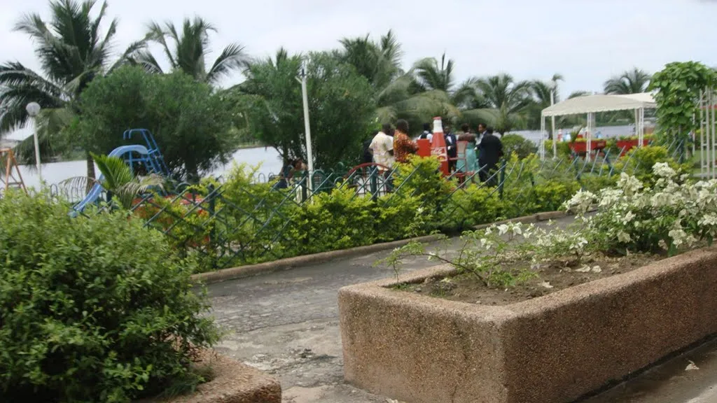 Abidjan : Comment les ‘‘coupeurs d’arbres’’ asphyxient la ville.