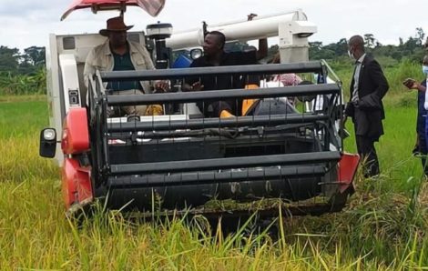 Côte d’Ivoire – Un pôle agro-industriel pour les régions du nord.