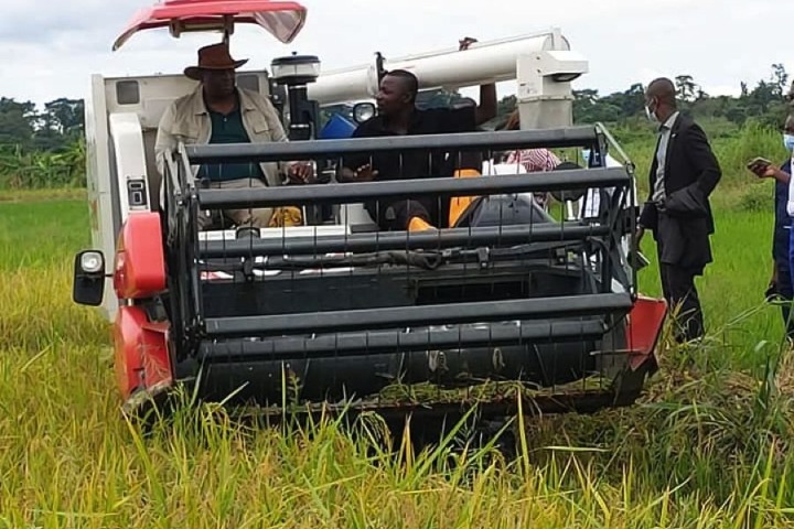 Côte d’Ivoire – Un pôle agro-industriel pour les régions du nord.