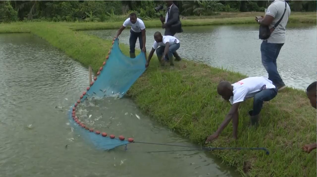 Projet PSTACI Les populations expriment leur profonde gratitude au gouvernement_Aquaculture_01082022_11