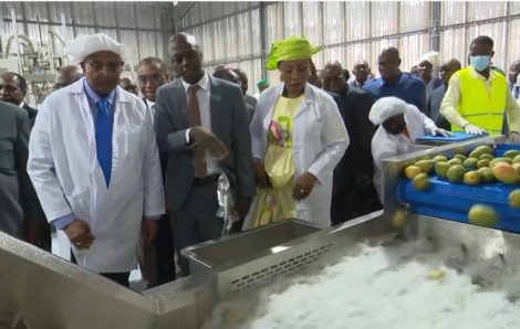 Le Premier Ministre Patrick Achi inaugure une usine de transformation de mangue à Sinématiali.