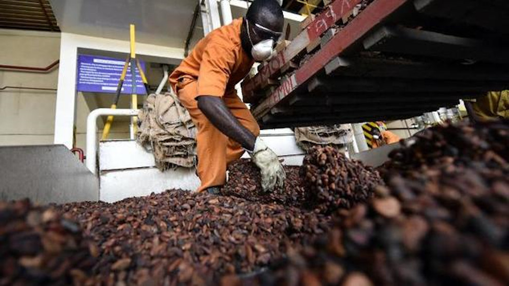 Les broyages de cacao en hausse de 14% en Côte d’Ivoire.