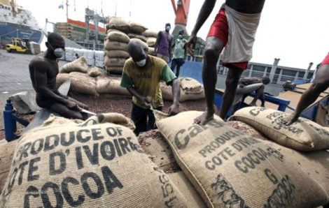 Café – cacao : 6 entreprises retenues pour le contrôle des fèves.