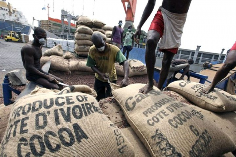 Café – cacao : 6 entreprises retenues pour le contrôle des fèves.