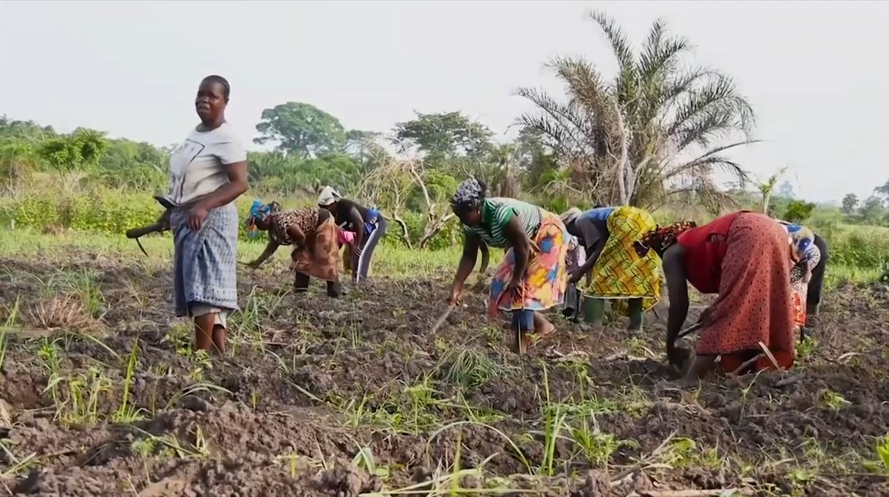 Japon_don_pour_mecanisation_agriculture_2022_6