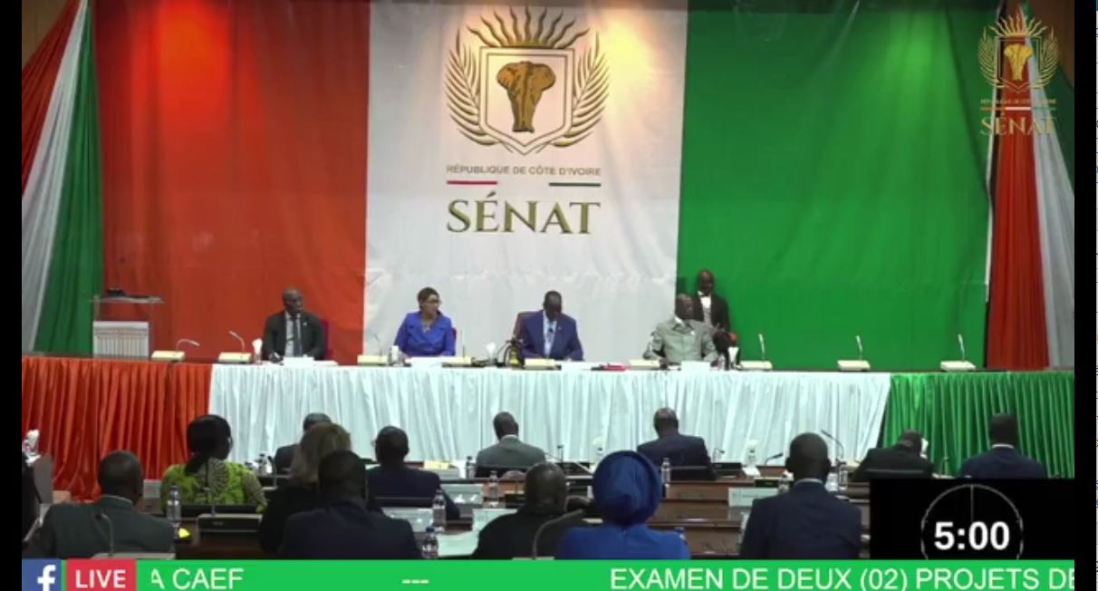 Senat_projet_loi_Assemblee_Nationale_3