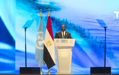 Le Vice-Président de la République a pris part au Sommet présidentiel de la COP 27, à Sharm El Sheikh.