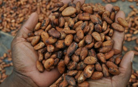 Non paiement du DRD : la Côte d’Ivoire et le Ghana lancent un ultimatum aux industriels du Chocolat.