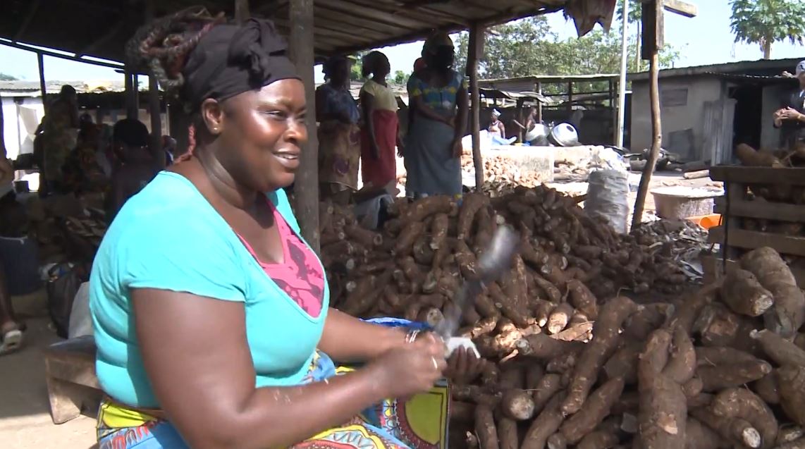 Manioc_Miracle_CNRA_CIV_2022_21