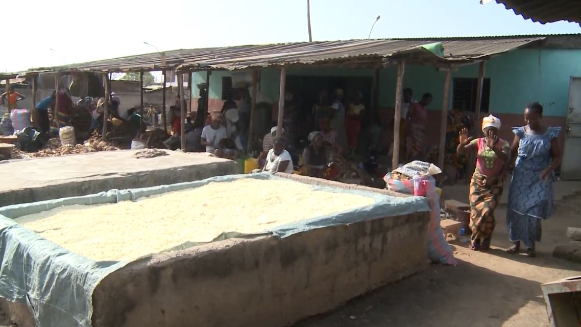 Manioc_Miracle_CNRA_CIV_2022_22