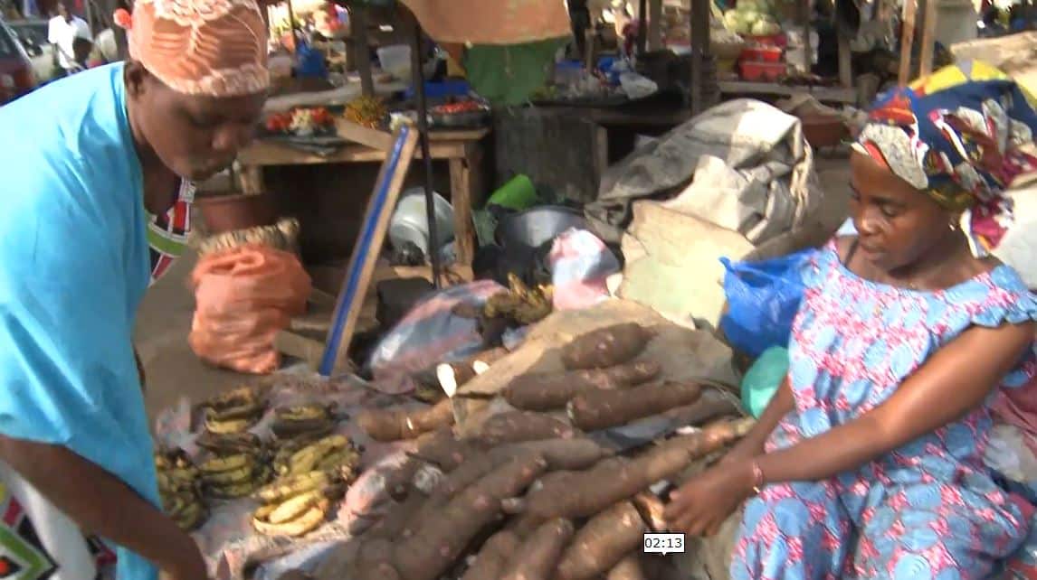 Manioc_Miracle_CNRA_CIV_2022_3