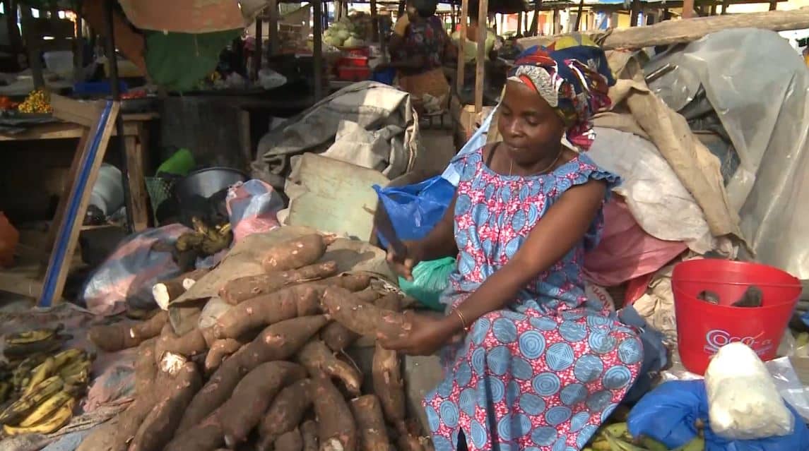 Manioc_Miracle_CNRA_CIV_2022_4