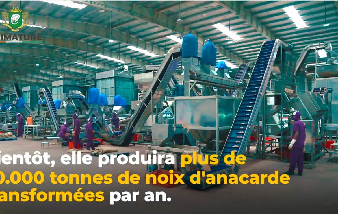 L’usine d’anacarde de Toumodi : symbole de l’accélération de la transformation du tissu agro-industriel de la région du Bélier.