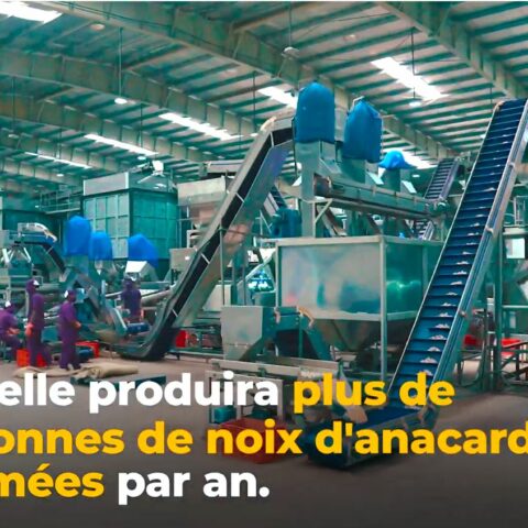 L’usine d’anacarde de Toumodi : symbole de l’accélération de la transformation du tissu agro-industriel de la région du Bélier.