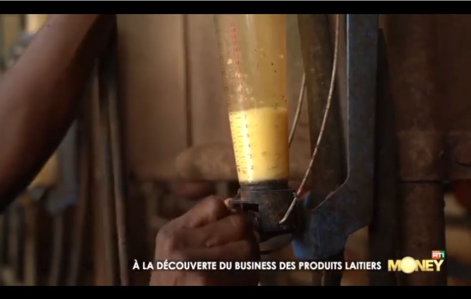 Business_Production_Laitiere_en_CIV_2023_14