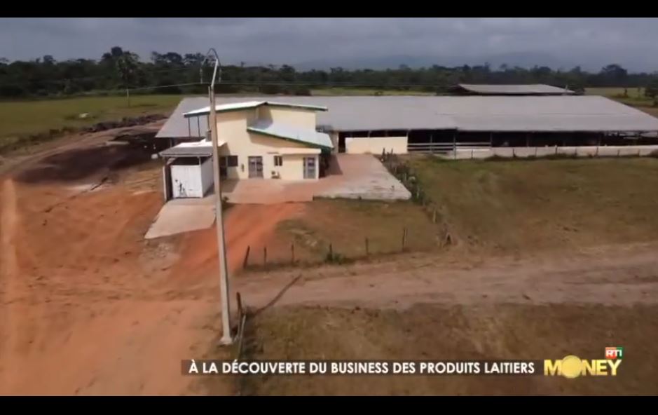 Business_Production_Laitiere_en_CIV_2023_15