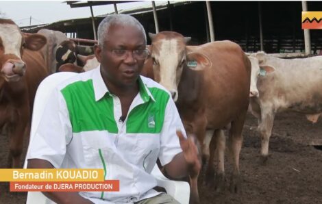 Mais pourquoi donc produire du lait fermier en Côte d’Ivoire ?.