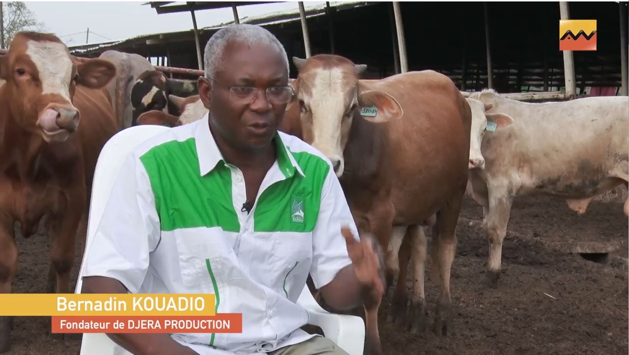 Mais pourquoi donc produire du lait fermier en Côte d’Ivoire ?.