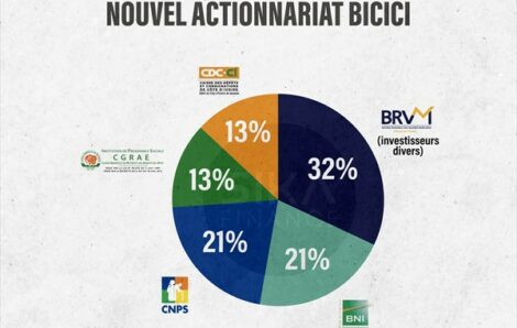 BICICI : Comment la CNPS, la BNI, la CGRAE et la CDC-CI se sont reparties les parts de BNP Paribas ?.