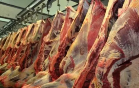 ÉCONOMIE – Filière viande : Le gouvernement veut combler un déficit de 55,4%.