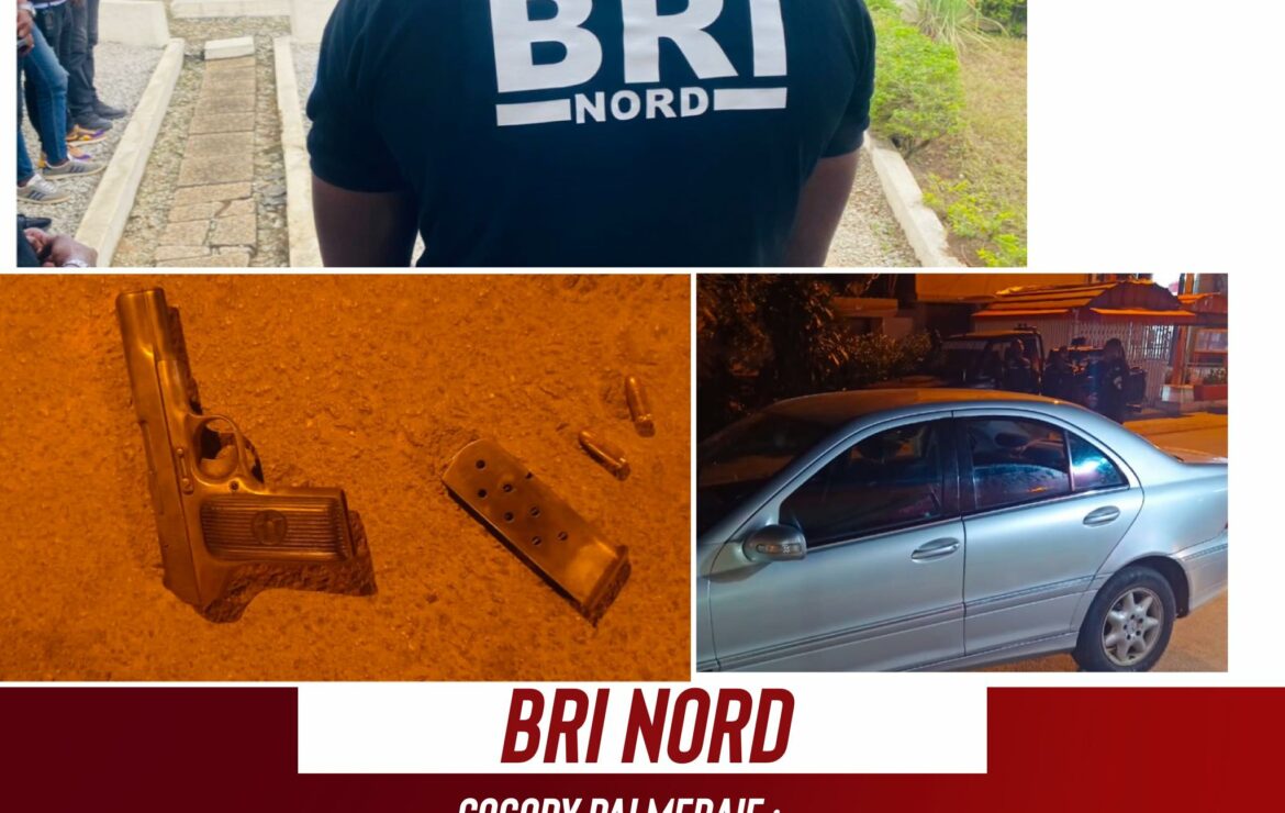 Police Secours : PALMERAIE : 02 Bandits abattus par la BRI NORD.