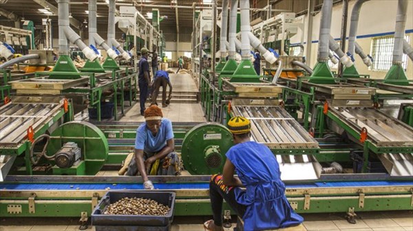 Côte d’Ivoire : Le volume de la production industrielle s’est accru de 7,4% à fin 2022.