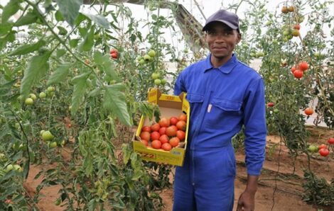 Côte d’Ivoire : ‘’PME Rise’’, un programme pour accompagner la croissance des PME.