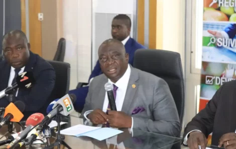 Côte d’Ivoire : les prix du Kg de coton graine maintenus pour la campagne 2023-2024.