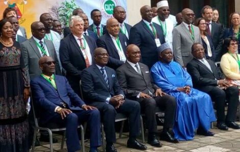 Agriculture Changements climatiques : l’offre du Cameroun pour sauver la culture du cacao et du café.