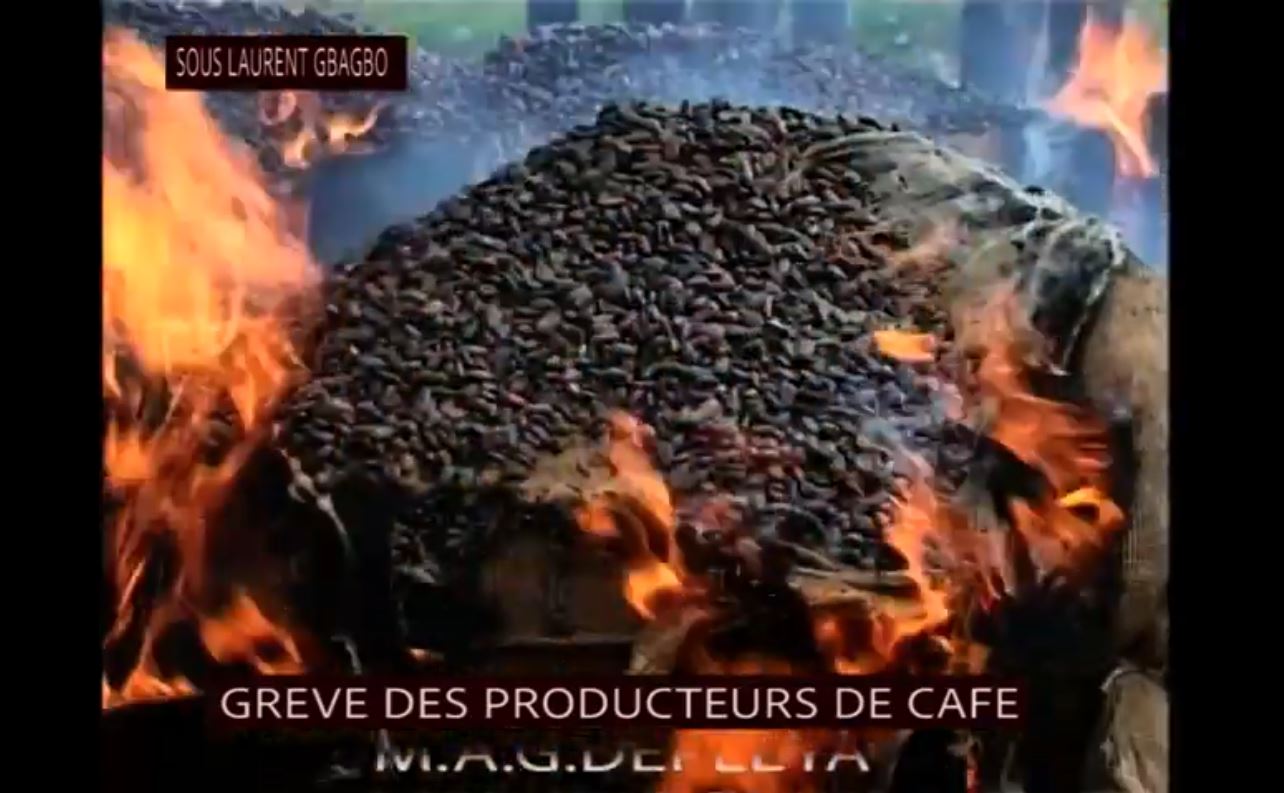 Planteurs_cafe_cacao_brulent_recolte_sous_gbagbo_2009_10