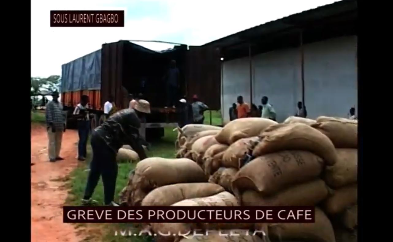Planteurs_cafe_cacao_brulent_recolte_sous_gbagbo_2009_19