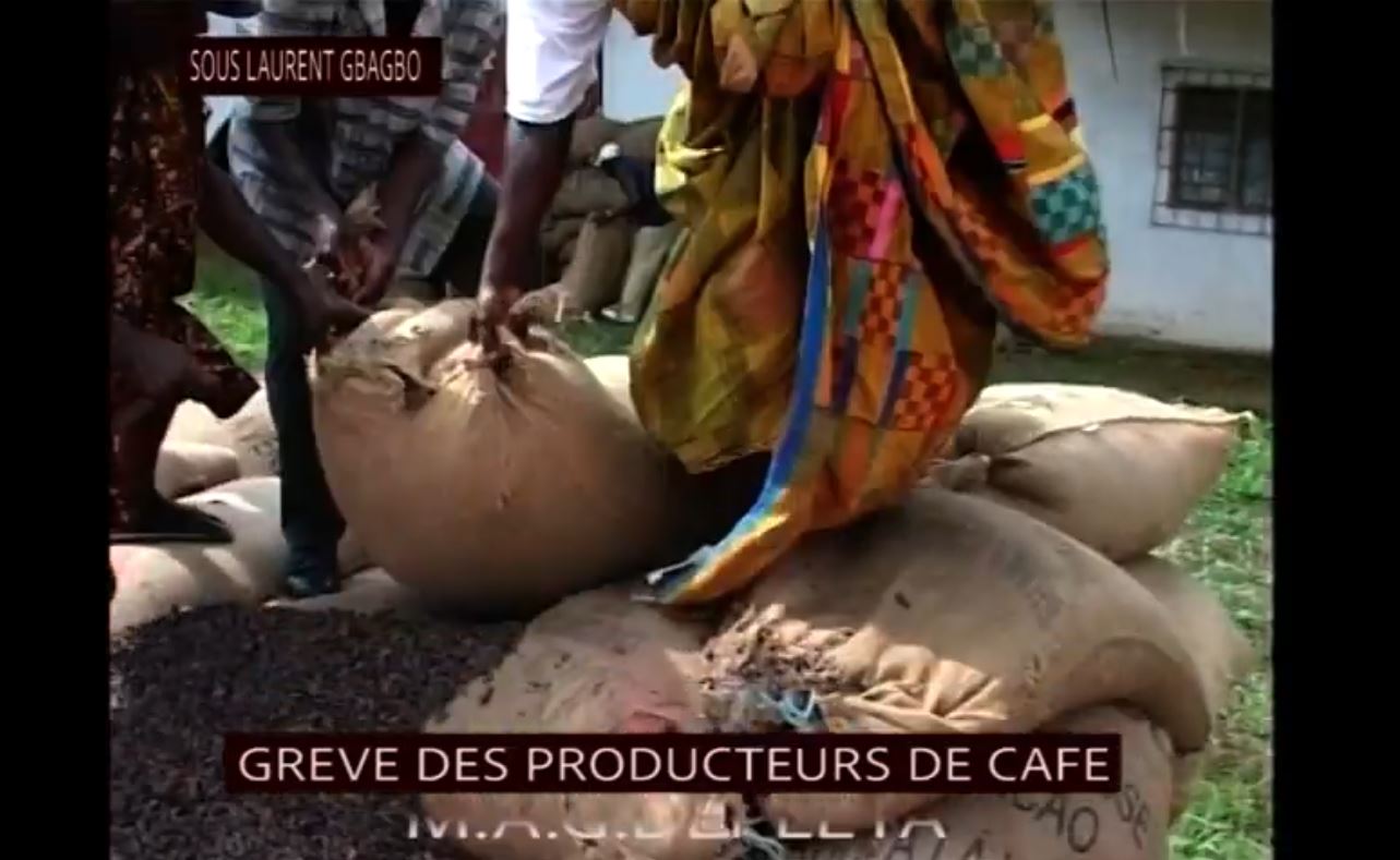 Planteurs_cafe_cacao_brulent_recolte_sous_gbagbo_2009_21