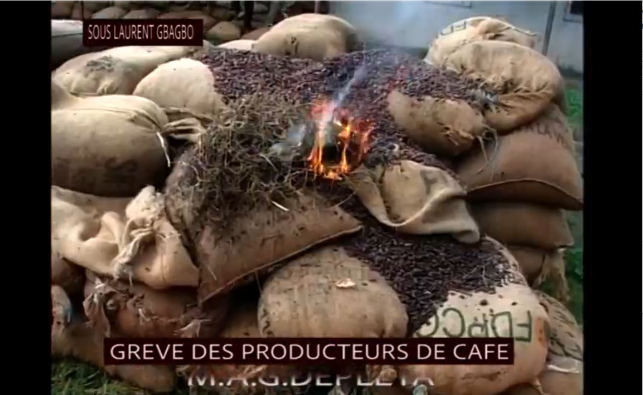 Planteurs_cafe_cacao_brulent_recolte_sous_gbagbo_2009_22