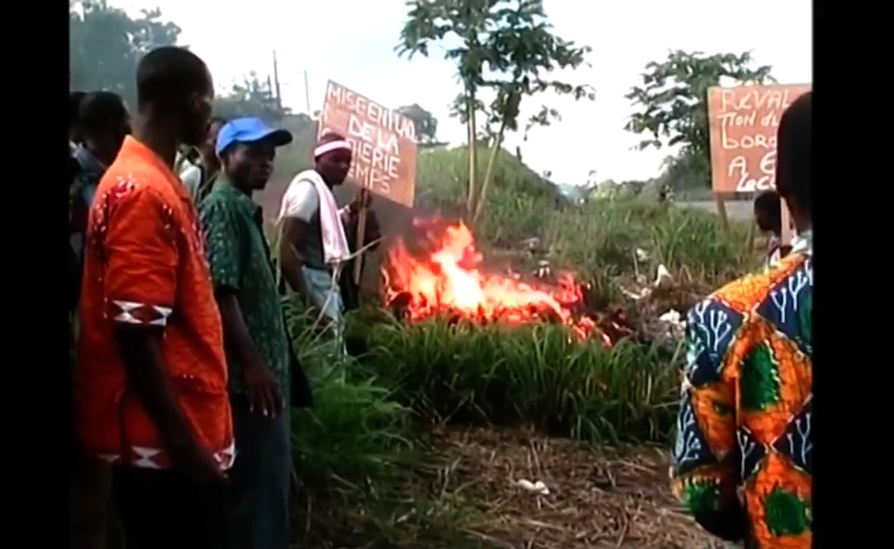 Planteurs_cafe_cacao_brulent_recolte_sous_gbagbo_2009_23