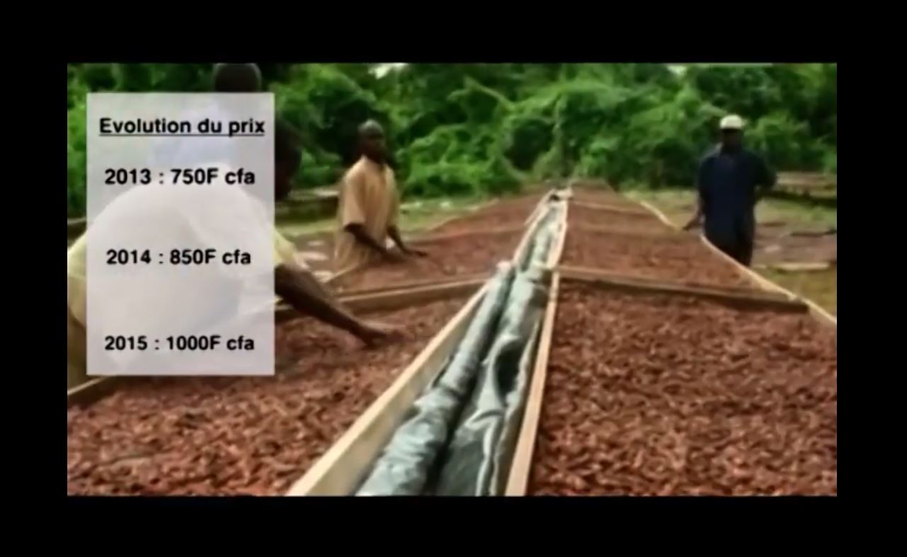 Planteurs_cafe_cacao_brulent_recolte_sous_gbagbo_2009_32