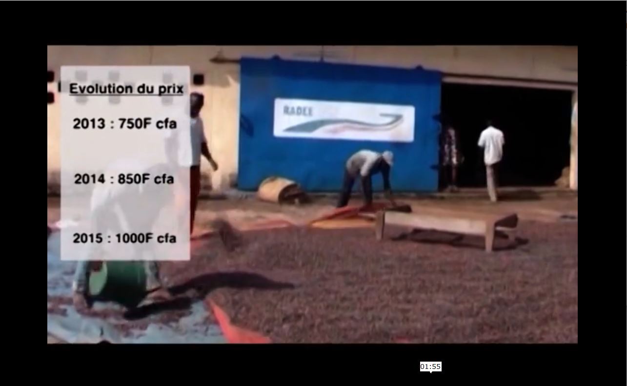 Planteurs_cafe_cacao_brulent_recolte_sous_gbagbo_2009_34