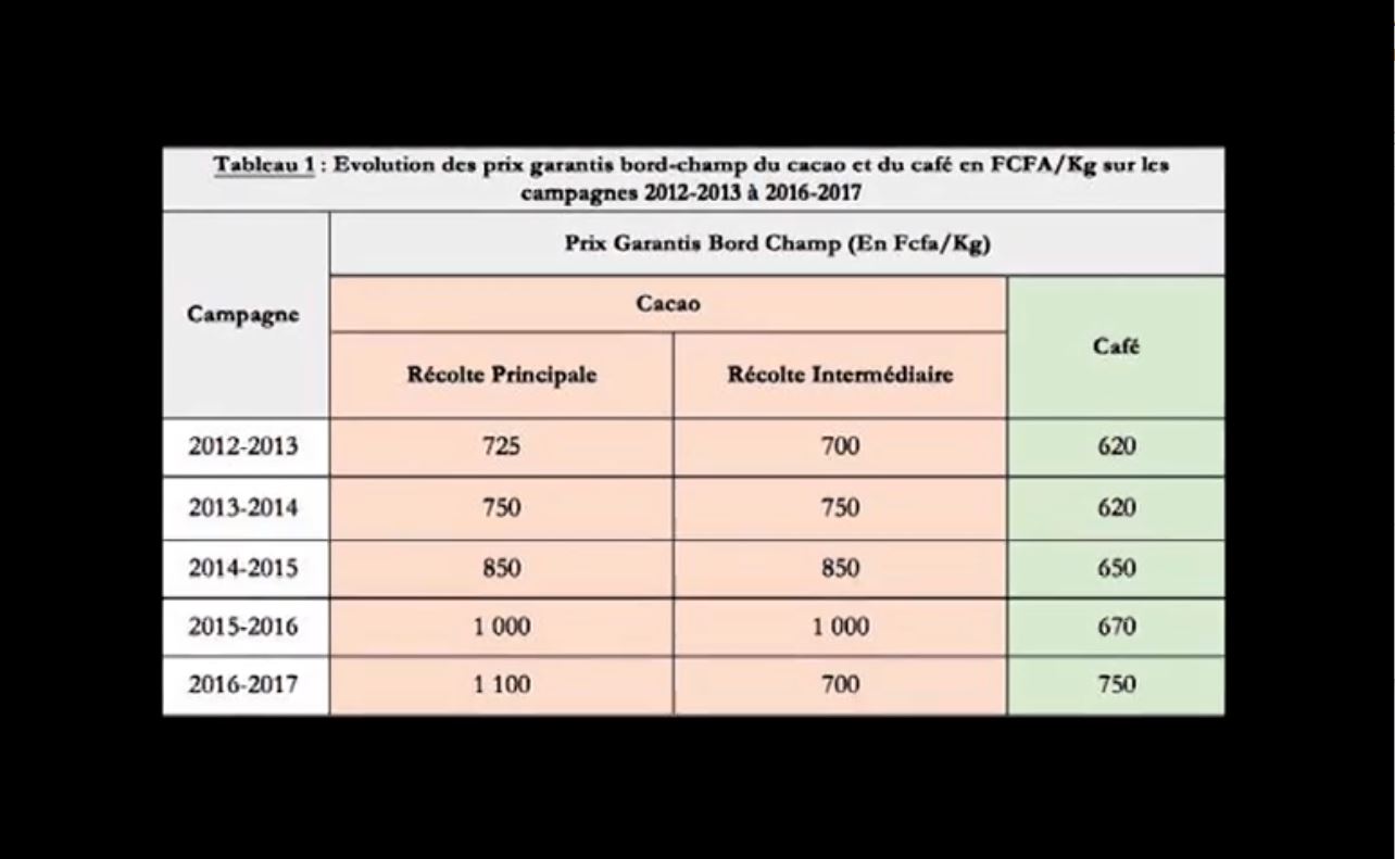 Planteurs_cafe_cacao_brulent_recolte_sous_gbagbo_2009_35