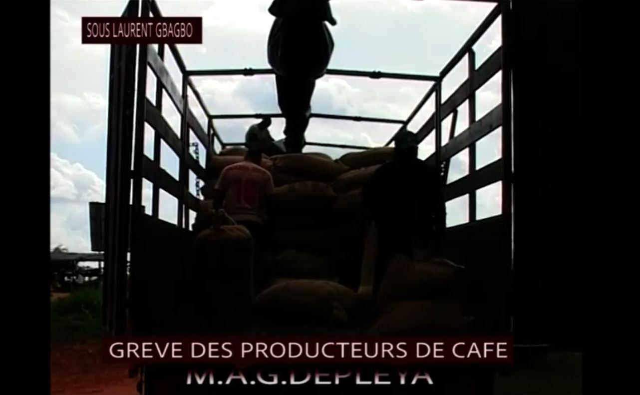 Planteurs_cafe_cacao_brulent_recolte_sous_gbagbo_2009_5