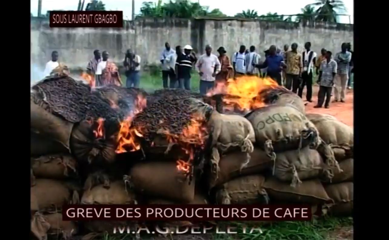 Planteurs_cafe_cacao_brulent_recolte_sous_gbagbo_2009_8