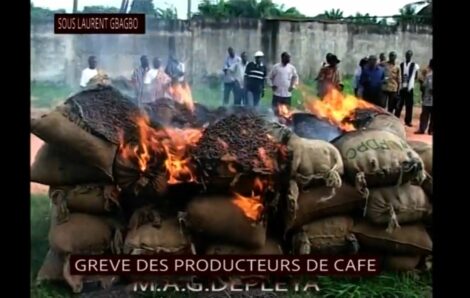 Le prix du cacao tant chanté en chœur sous le pouvoir de Laurent Gbagbo était de 400 francs CFA le kilogramme (faites le savoir à Stéphane Kipré, Katina et Damana Pickass).
