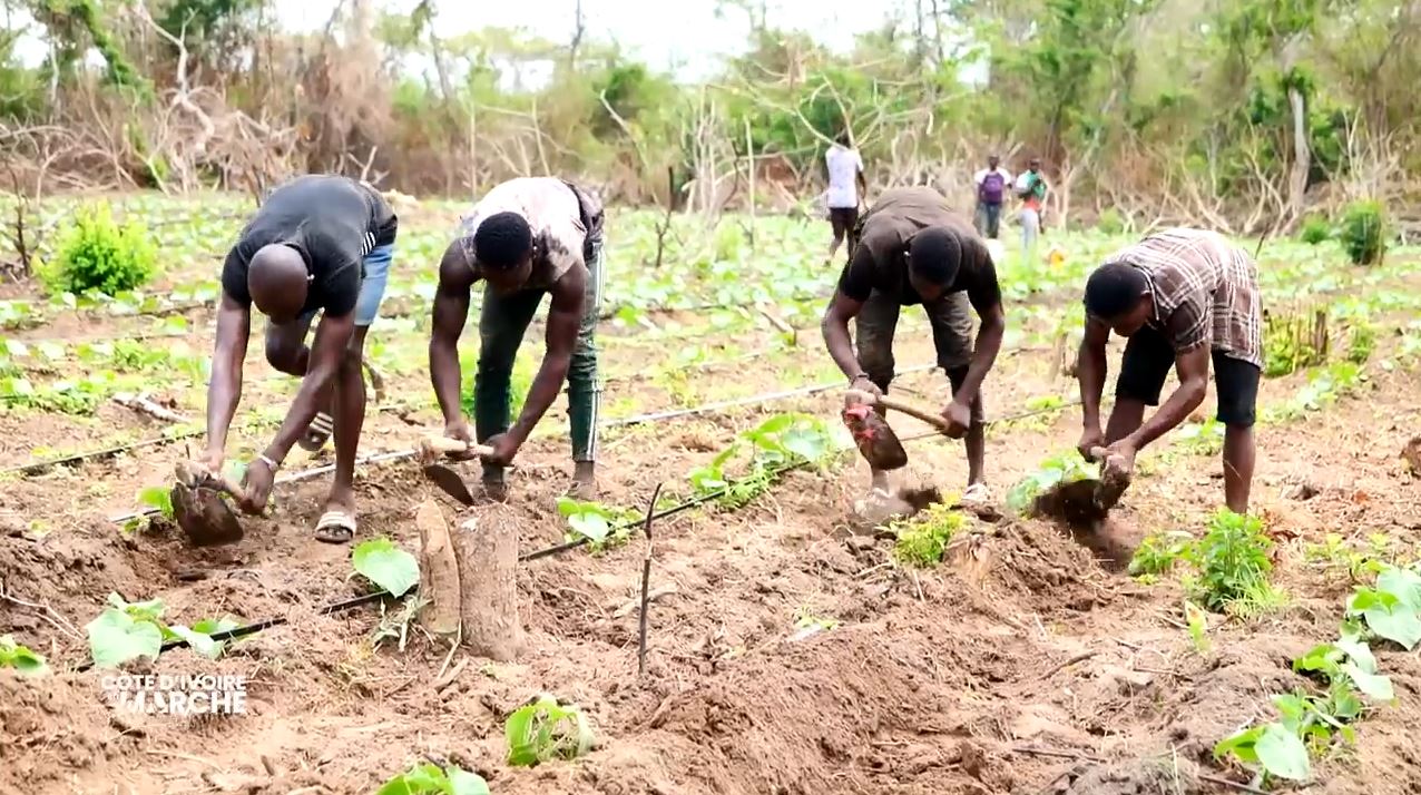 Purga_1_Purga_2_2023_10