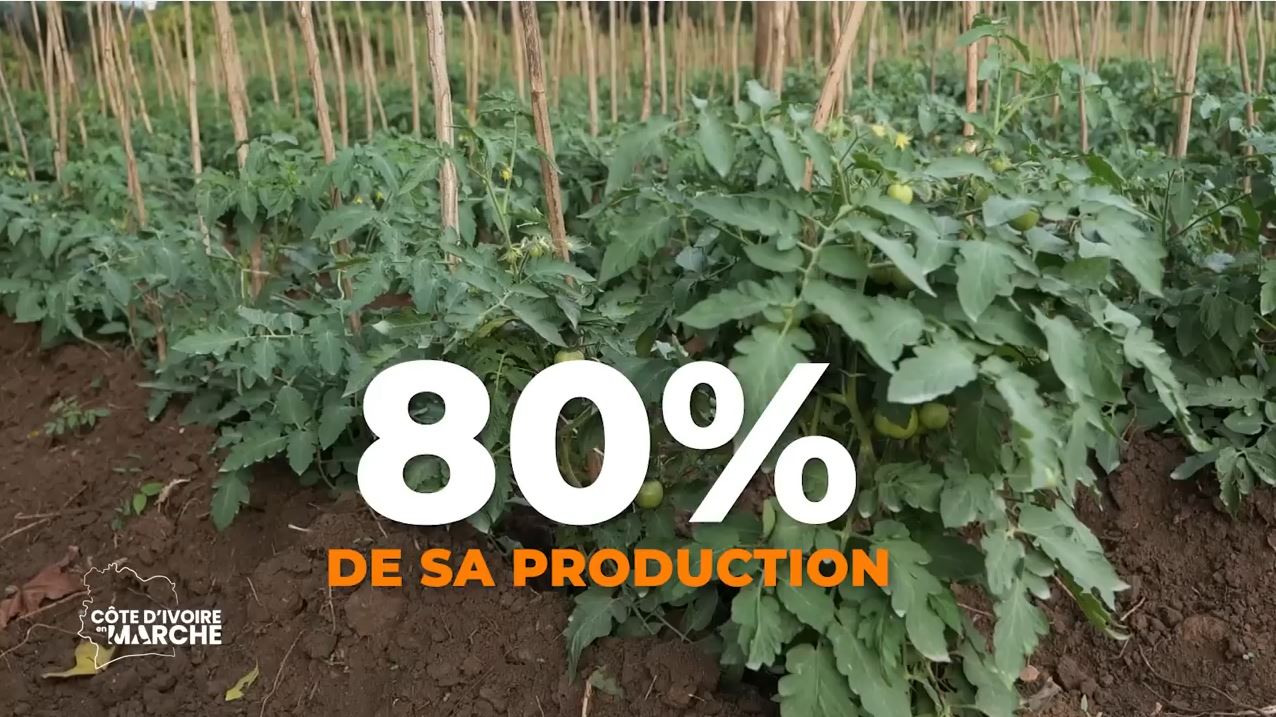 Purga_1_Purga_2_2023_13