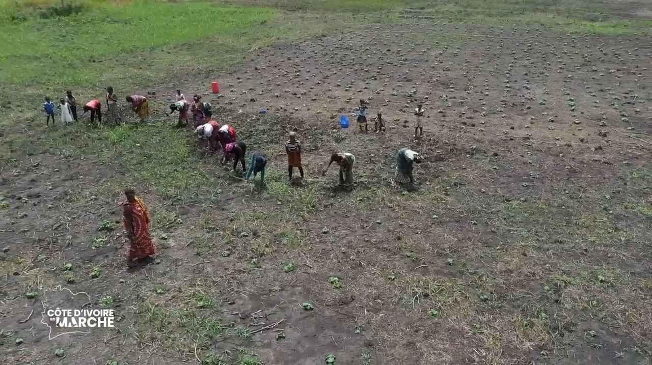 Purga_1_Purga_2_2023_14