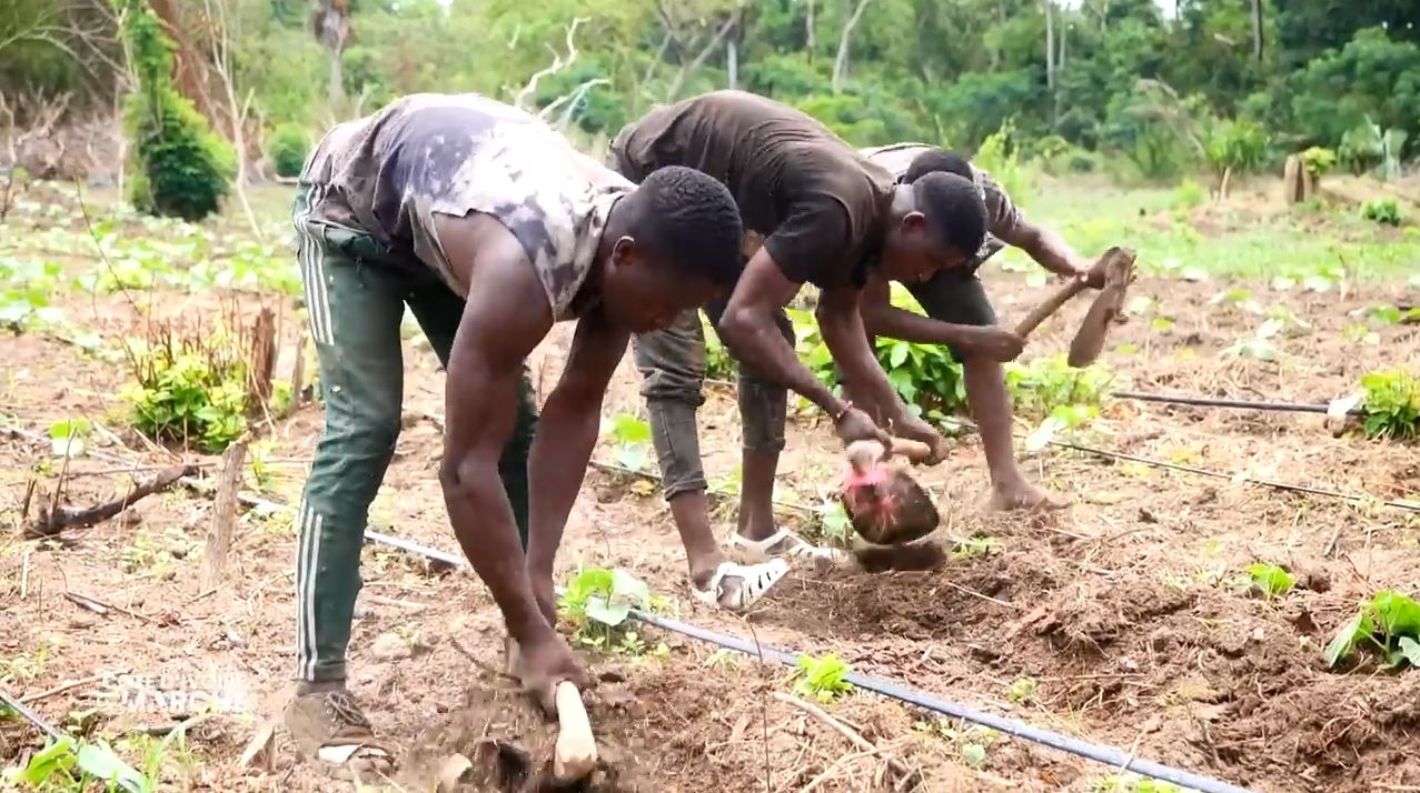 Purga_1_Purga_2_2023_15