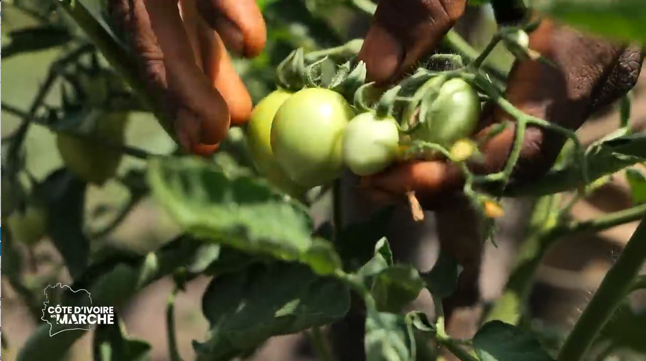 Purga_1_Purga_2_2023_17