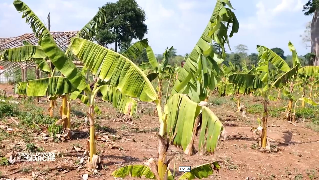 Purga_1_Purga_2_2023_21