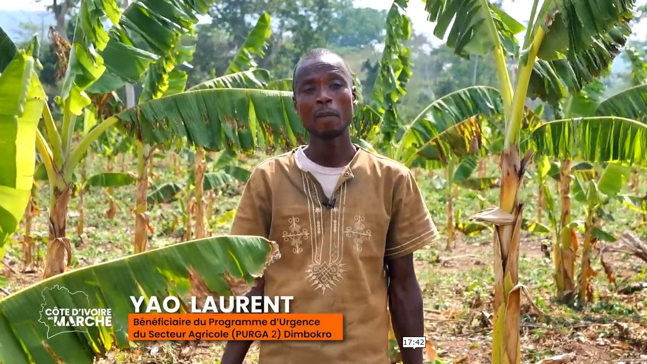 Purga_1_Purga_2_2023_22