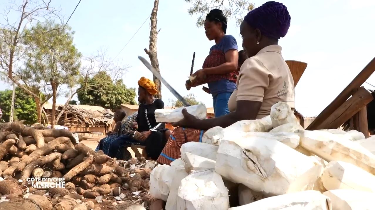 Purga_1_Purga_2_2023_23