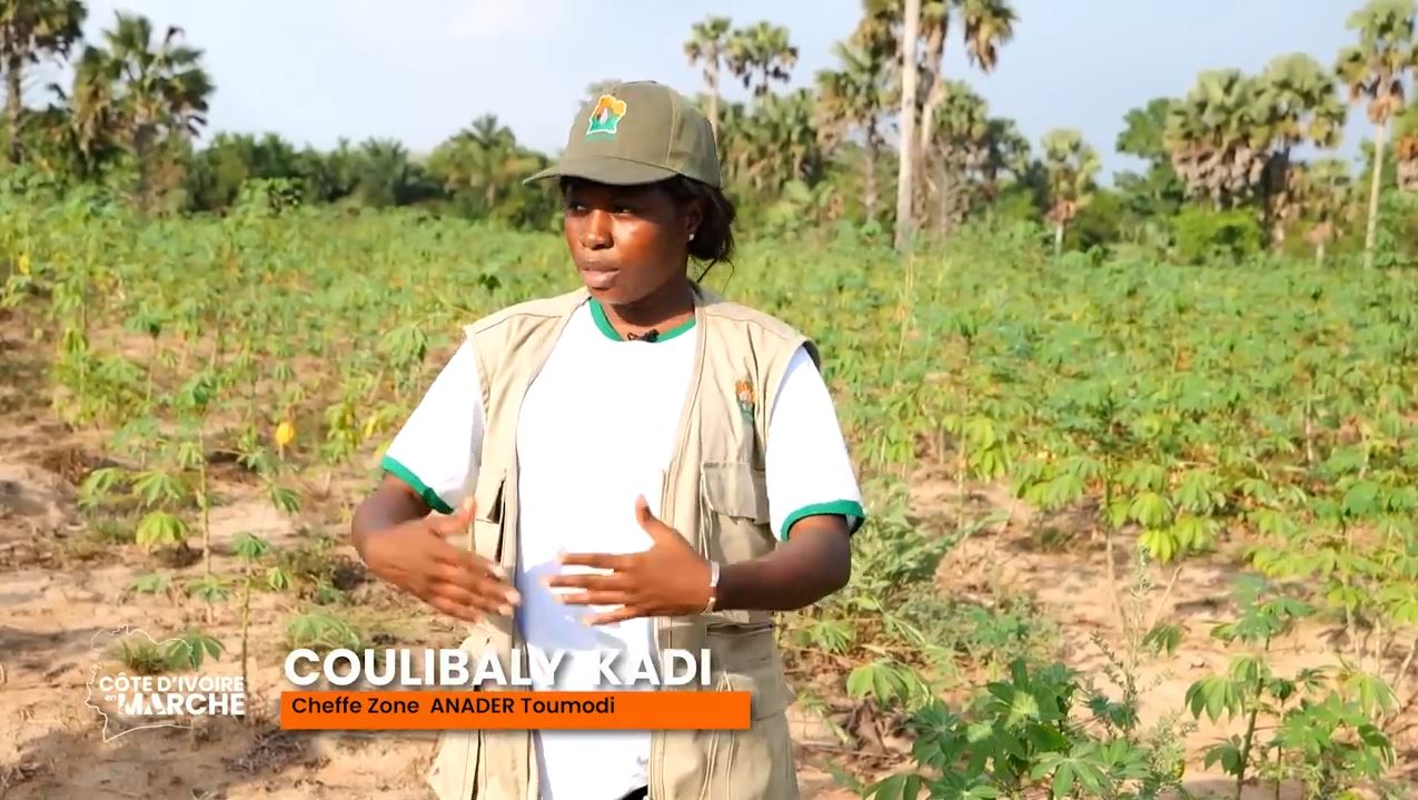 Purga_1_Purga_2_2023_24