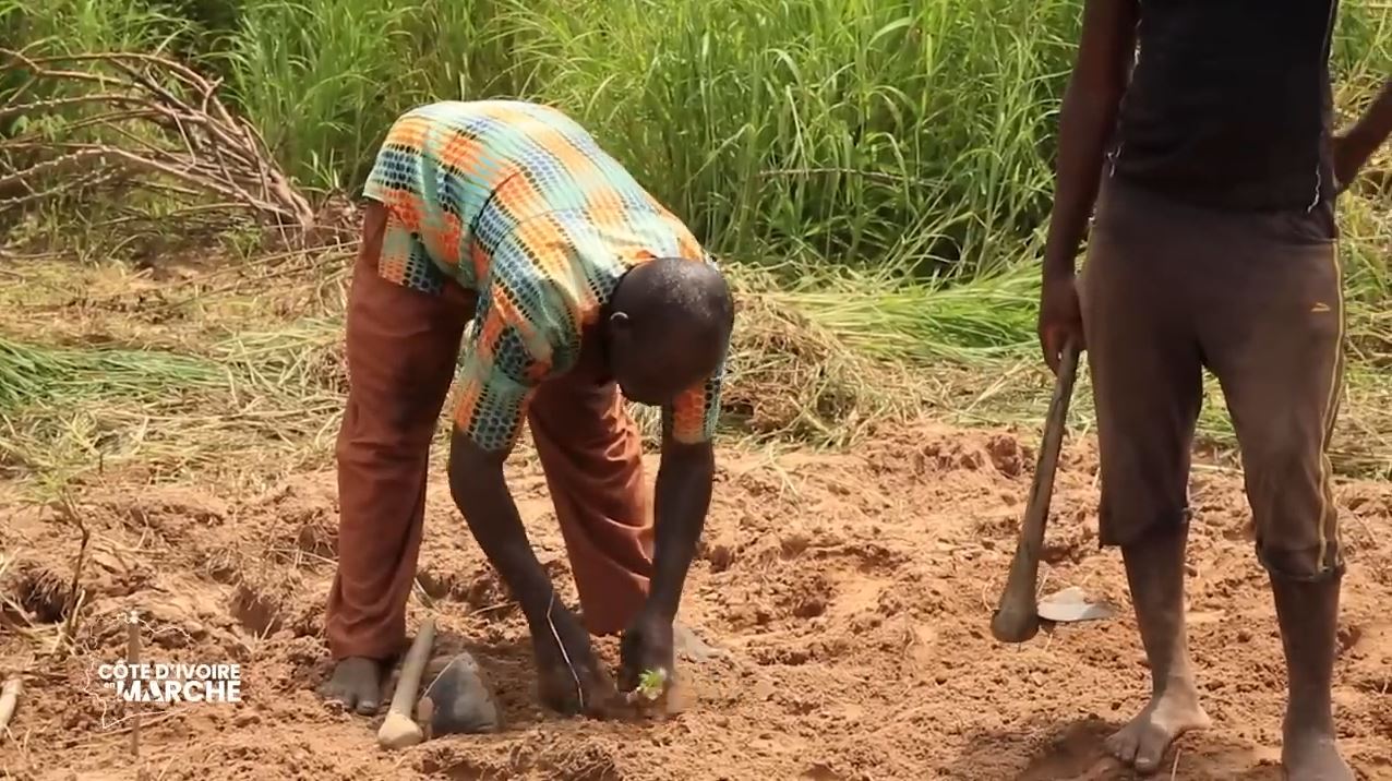 Purga_1_Purga_2_2023_25